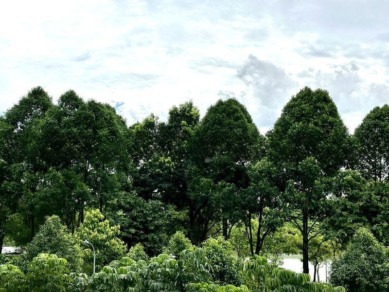 UPP SERANGOON CRES 5