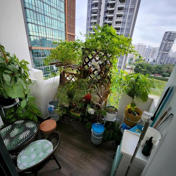 CITY SUITES 2