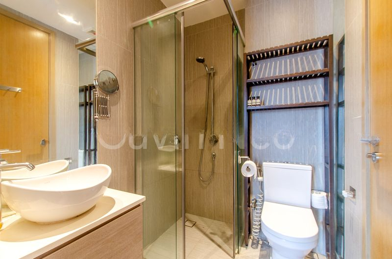 CAMBIO SUITES 5