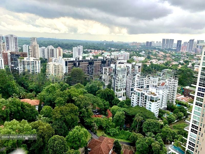 REIGNWOOD HAMILTON SCOTTS 12