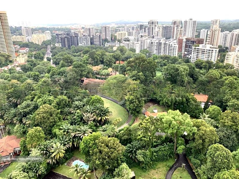 REIGNWOOD HAMILTON SCOTTS 14