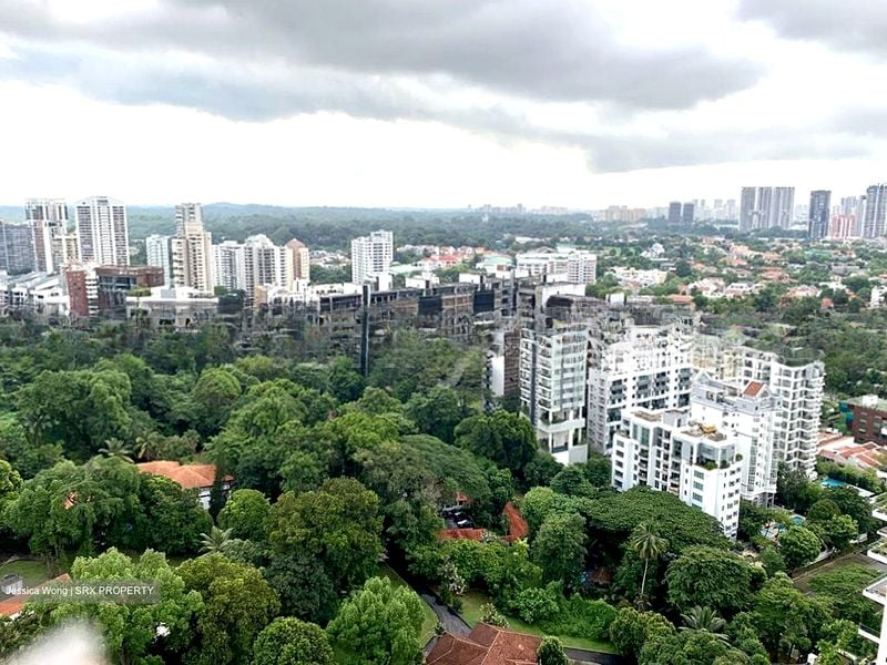 REIGNWOOD HAMILTON SCOTTS 13