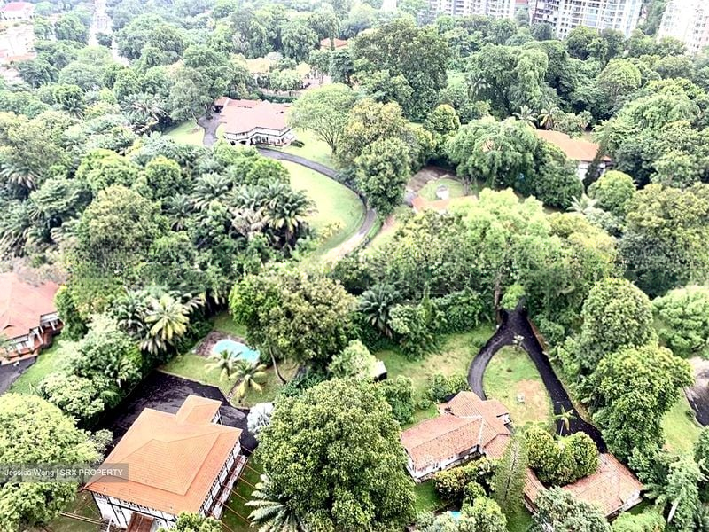 REIGNWOOD HAMILTON SCOTTS 15