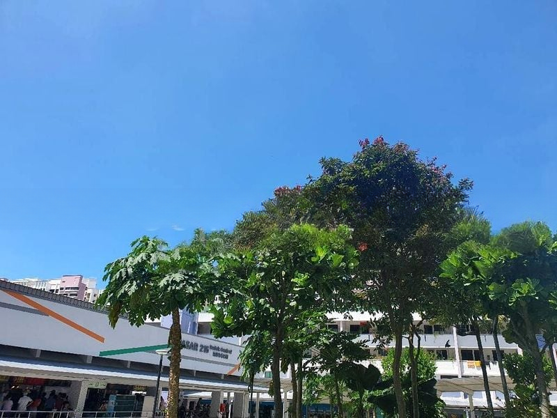 KENT RIDGE HILL RESIDENCES 4