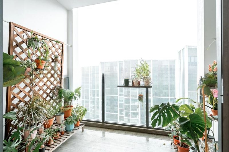 BOTANIQUE AT BARTLEY 8