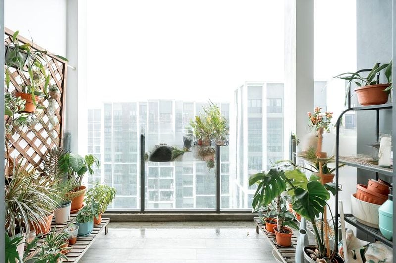 BOTANIQUE AT BARTLEY 9