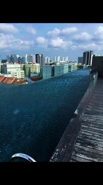 THE WATER EDGE 8