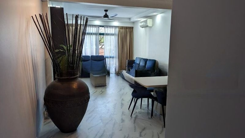 PALMWOODS 15