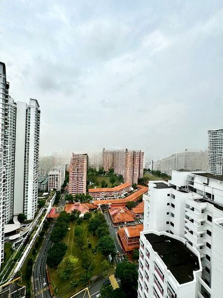 BISHAN ST 24 10