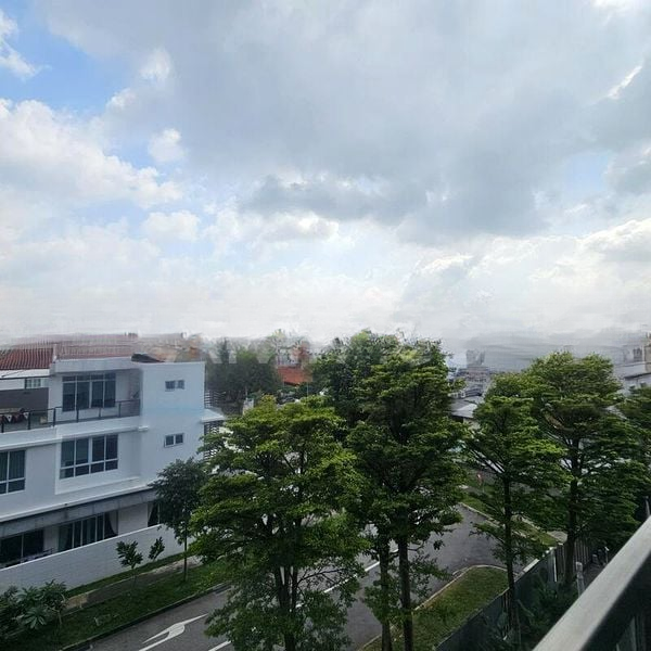 GAMBIR RIDGE 6