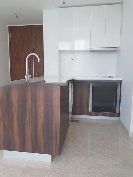 THE LINE @ TANJONG RHU 2