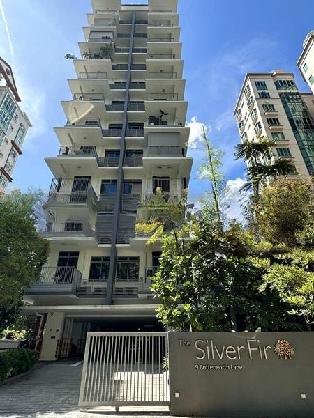 THE SILVER FIR 2