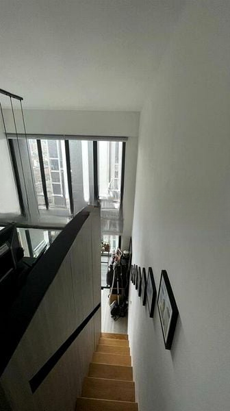 BOTANIQUE AT BARTLEY 10