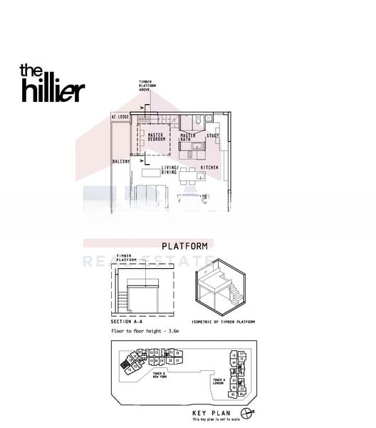 THE HILLIER 5