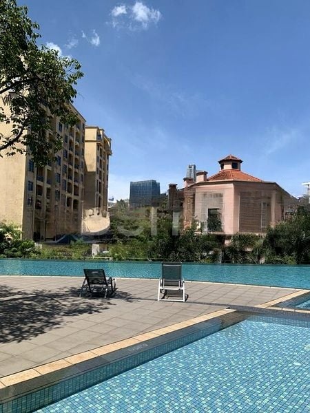 THE PIER AT ROBERTSON 13