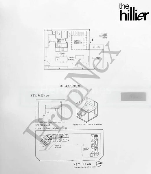 THE HILLIER 8