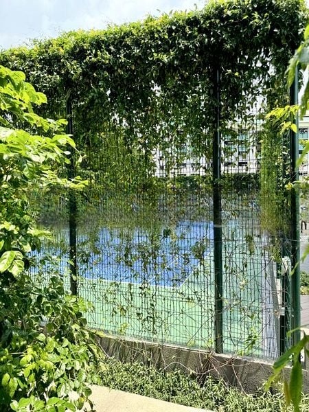 AVENUE SOUTH RESIDENCE 8