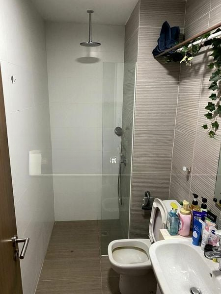 CASSIA EDGE 5
