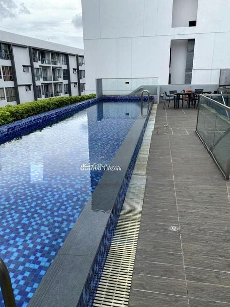 CASSIA EDGE 10