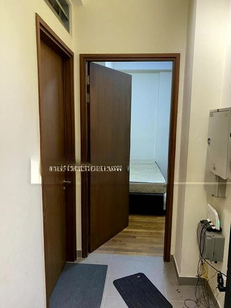 CASSIA EDGE 2