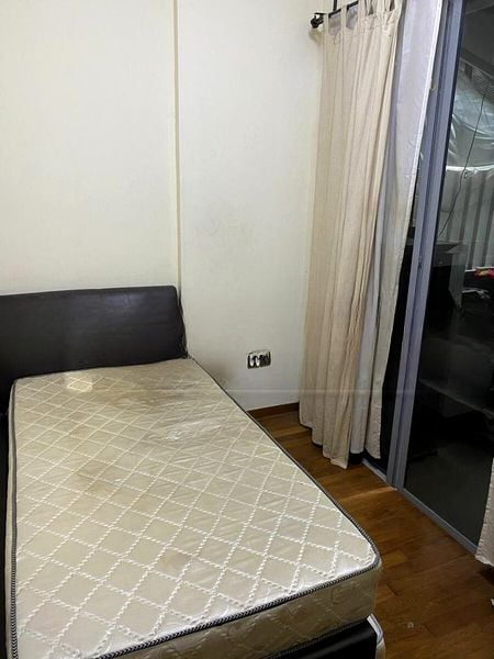 CASSIA EDGE 4