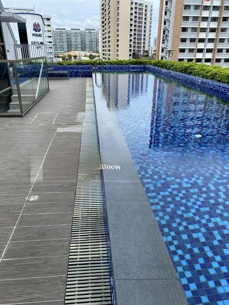 CASSIA EDGE 11
