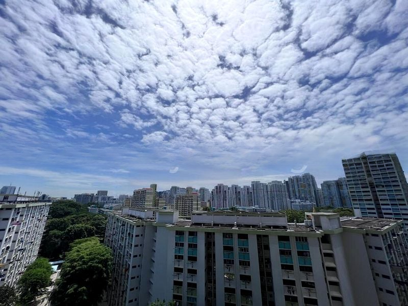 AVENUE SOUTH RESIDENCE 6