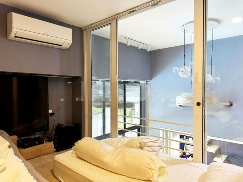 DAISY SUITES 7