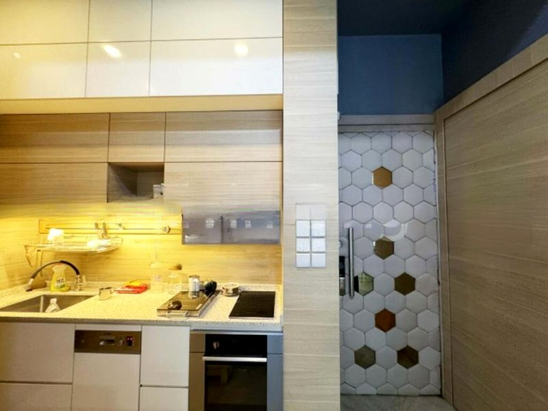 DAISY SUITES 4
