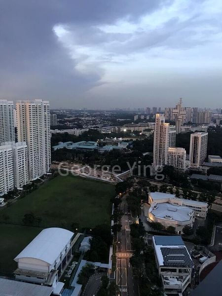 THE CLEMENT CANOPY 11