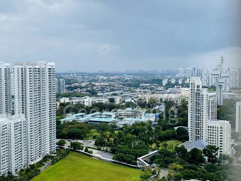 THE CLEMENT CANOPY 14