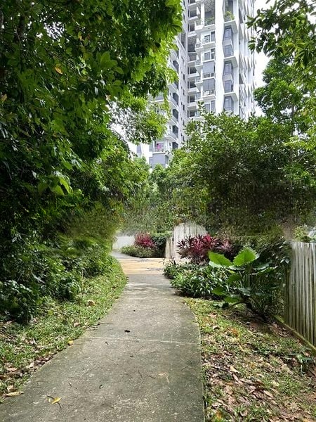 ECO SANCTUARY 5