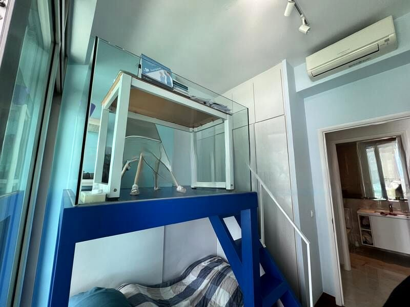 KINGSFORD . HILLVIEW PEAK 5