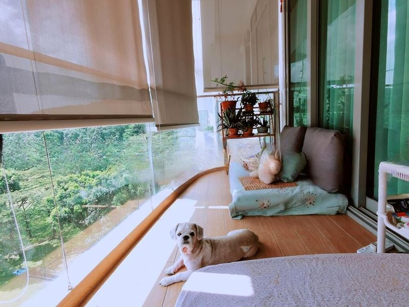 KINGSFORD . HILLVIEW PEAK 4