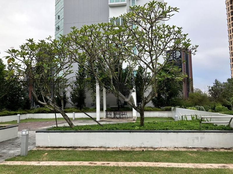 TRESALVEO 15