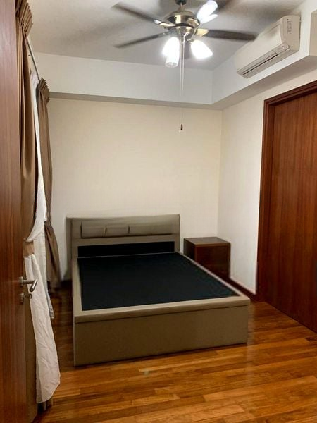 CASSIA EDGE 4