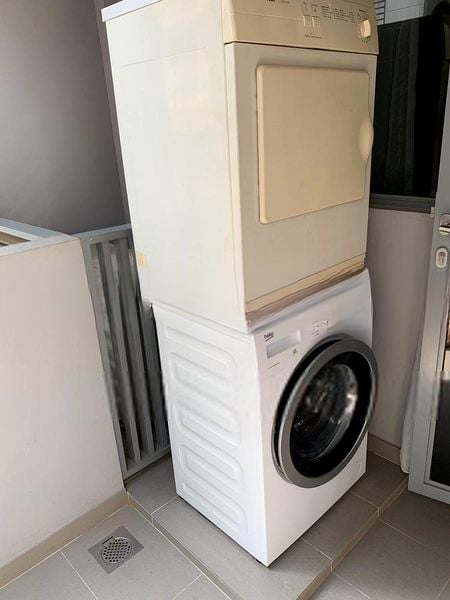 CASSIA EDGE 5