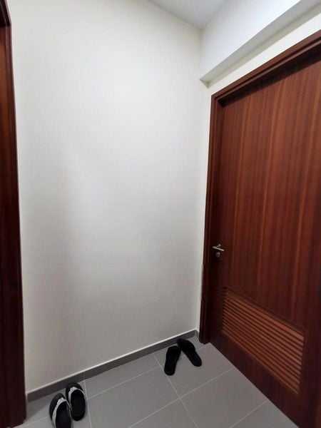 CASSIA EDGE 6