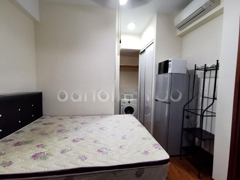 CASSIA EDGE 7