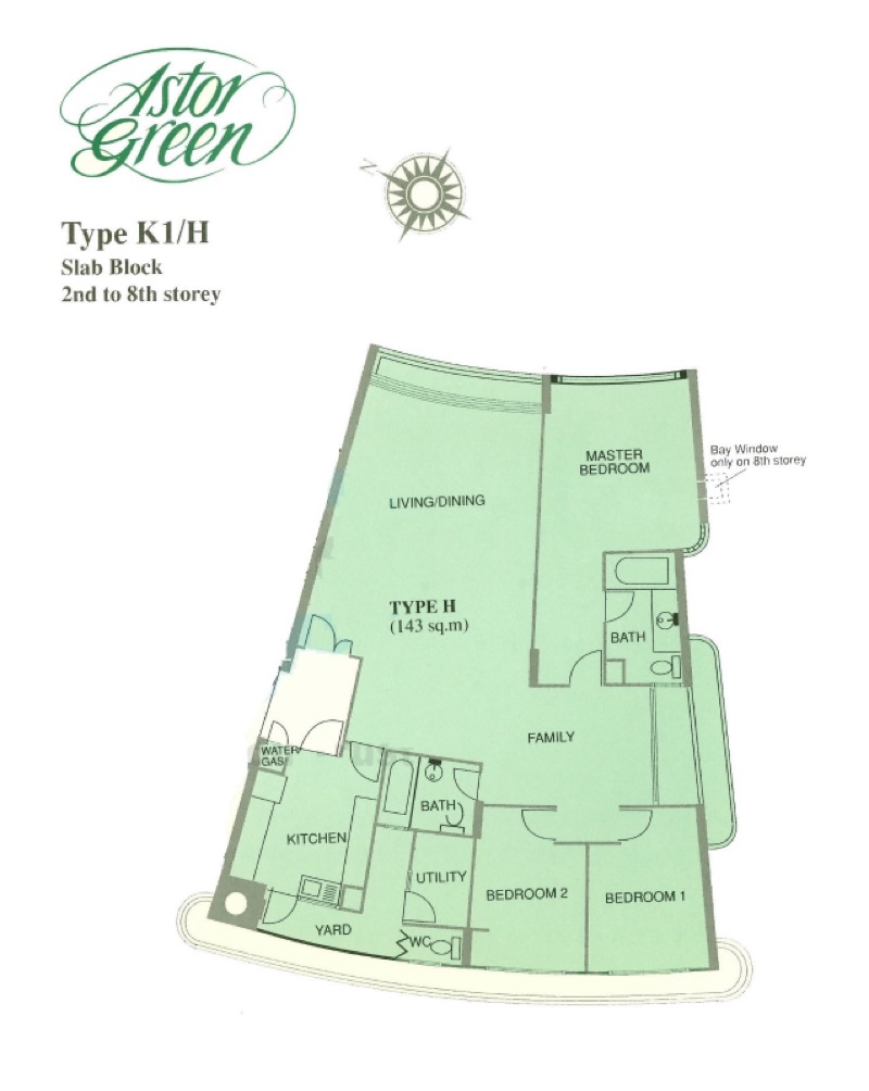 ASTOR GREEN 13