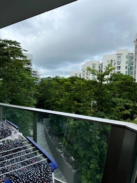 CORALS AT KEPPEL BAY 4