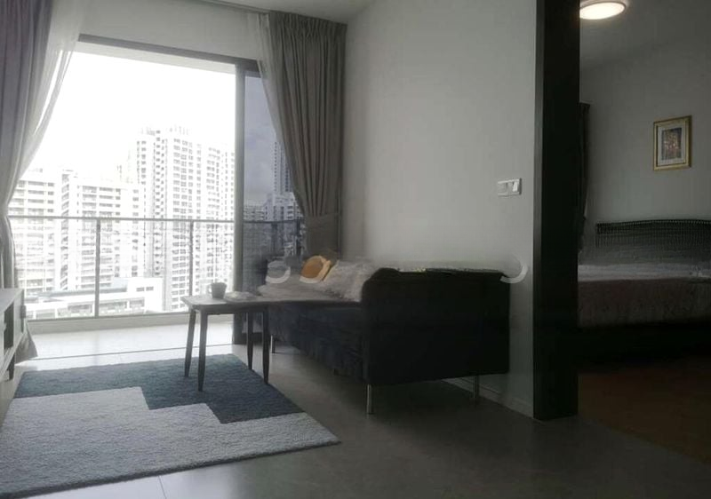 THE CLEMENT CANOPY 4