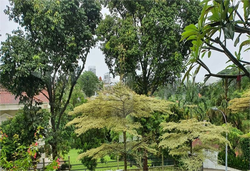 RADIANCE @ BUKIT TIMAH 6