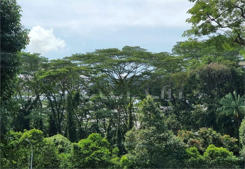 RADIANCE @ BUKIT TIMAH 5