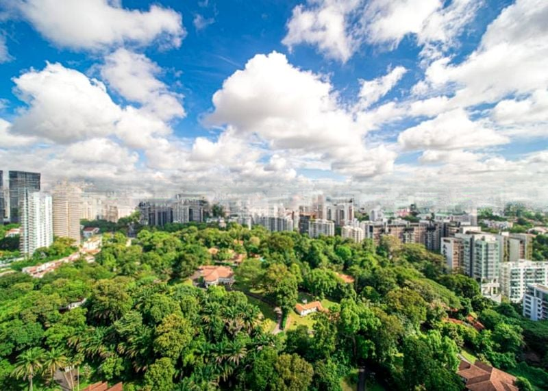 REIGNWOOD HAMILTON SCOTTS 2