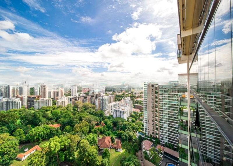 REIGNWOOD HAMILTON SCOTTS 6