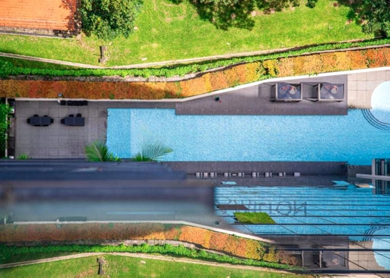 REIGNWOOD HAMILTON SCOTTS 12