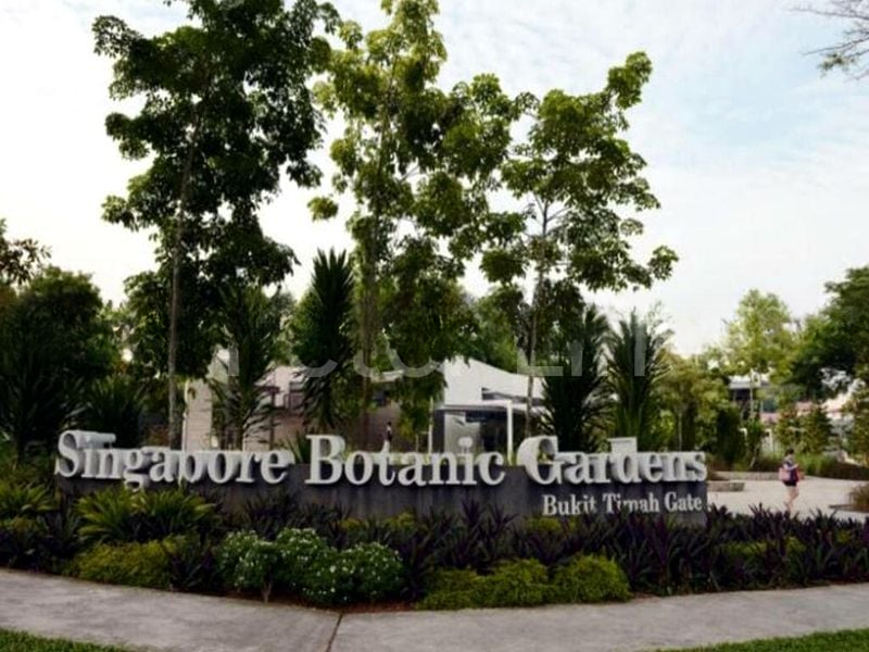 TANGLIN HILL VILLAS 11