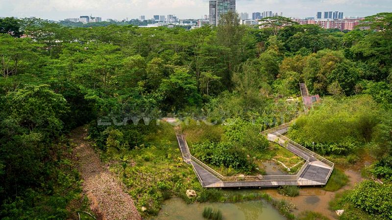 BINJAI PARK 4