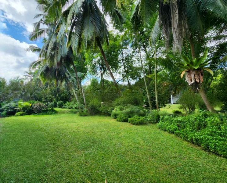 TANGLIN HILL VILLAS 10